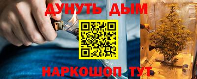 трава Краснодар