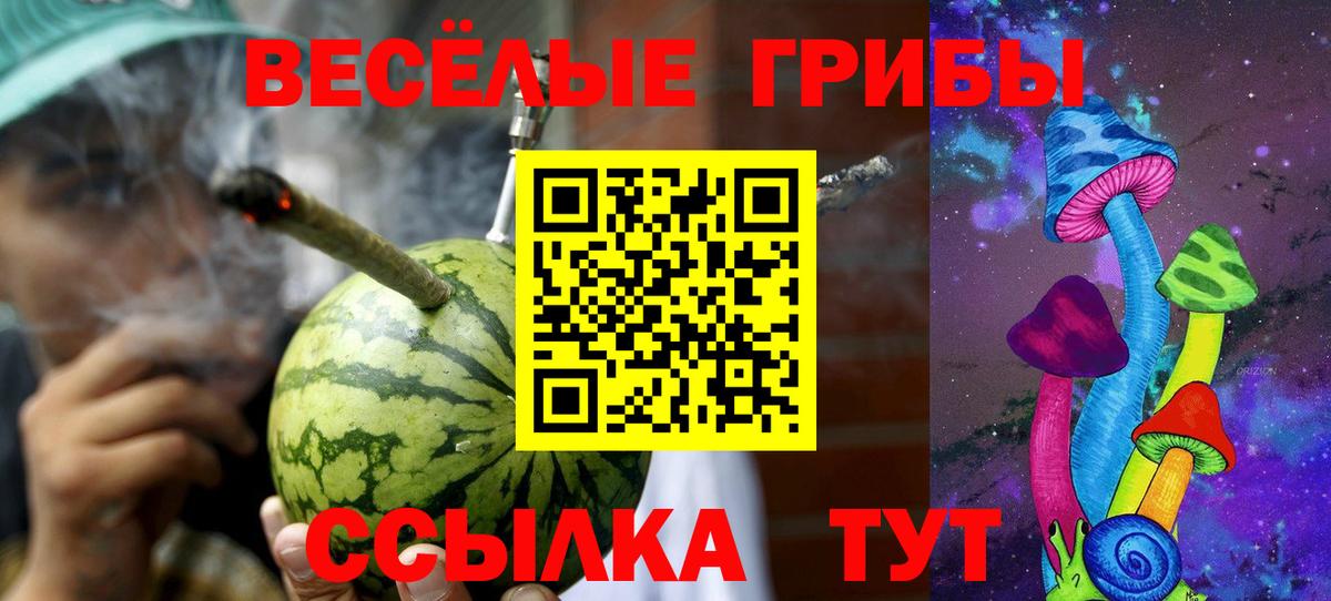 Псилоцибиновые грибы GOLDEN TEACHER  Вход с VPN  Галлюциногенные грибы Cubensis  Куйбышев 